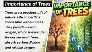 Importance of Trees Essay in English | Save Trees Save Life