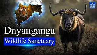 Explore Dnyanganga Wildlife Sanctuary in Just 10 Minutes