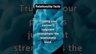 Understanding Relationship Dynamics #facts #relationship #dynamics #navigation