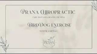 Bird Dog Exercise | Prana Chiropractic