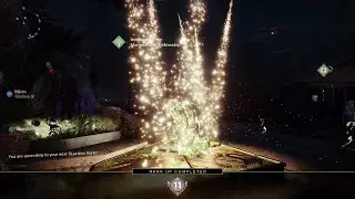 Guardian Rank 11 