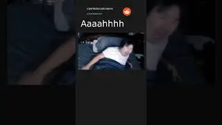 Daily Top Reddit Posts #34. 02/04/22. Top post in r/perfectlycutscreams.