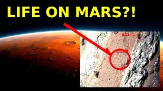 NASA Just Found LIFE on Mars?! | Shocking Discovery on Mars Changes EVERYTHING!
