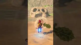 Epic Bomb Launch! (The Legend of Zelda: Breath of the Wild)