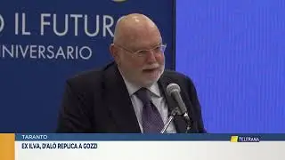 Ex Ilva, D'Al&ograve; replica a&nbsp;Gozzi