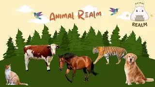 animal sound - animal sounds for kids | learn animal name and sound for children #shorts