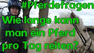 #Pferdefragen: Wie viele Stunden pro Tag sollte man reiten?