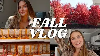 FALL WEEKEND VLOG: Target Shopping, Making Caramel Apples, Pumpkin Carving & lots of chatting!!! :)