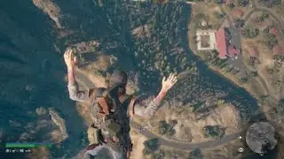 Days Gone Bug Flying high