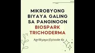 AgriBiyaya ni Ka Leo (Episode 4) #MikrobyongBiyaya, #Agribiyaya, #Biospark, #Trichoderma