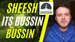 Would I Buy Sheesh It&rsquo;s BUSSIN BUSSIN token?! | Ape Tank