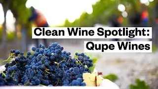 BIODYNAMIC Winemaking Spotlight | Thrive Market