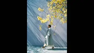 Soft Spring Light & Yellow Blossoms | Minimalist Fashion Lookbook