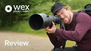 Обзор | Камера Nikon Z6 III в Knepp Wildland Safari