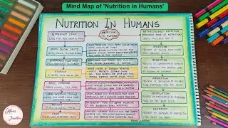 Nutrition in Humans Class 10 Mind Map