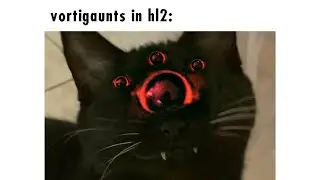 Komegatze Play Half-Life 2 VR mod
