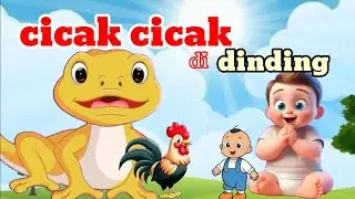 Cicak Cicak Di Dinding - Cicak Di Dinding - Lagu Anak Anak - Lagu Anak Indonesia