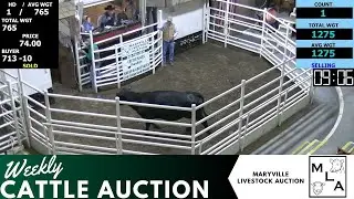 12/21/2023 -Maryville Livestock Auction