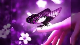 nhạc s&oacute;ng theta d&agrave;nh cho th&ocirc;i mi&ecirc;n, thư gi&atilde;n, d&ugrave;ng trong th&ocirc;i mi&ecirc;n NLP