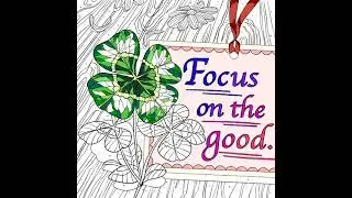 (Shorts) Zen Color By Number: Focus On The Good (Bonus Pics)