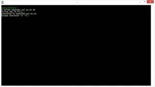 Telnet on port 80
