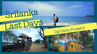 Goodbye Sri Lanka 😢 | Mirissa , Udawalawe National Park & Colombo Adventures ( DJI Osmo Pocket 3)