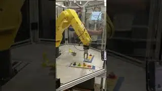 Train A Robotic Arm To Execute A Simple Task