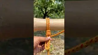 A GREAT Knot in our daily life!