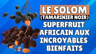 Solom: This African Superfruit with Incredible Health Benefits!