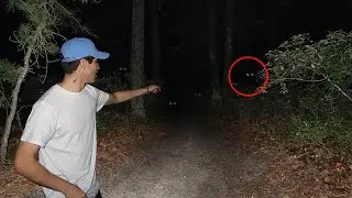 THE UNKNOWN TRAIL AT CLINTON ROAD... (WE WENT BACK)