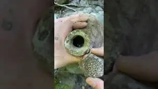 What's inside the antique jar| #antiquejar #ctto #treasurehunter