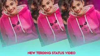 Bimalar Mai Song Lighting new Style purulia training status editing Alight motion training Video