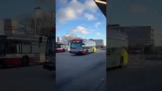 Toronto TTC 2024 Nova Bus LFSe+ Sighting of 6601 at Finch West Station 1/2/2025