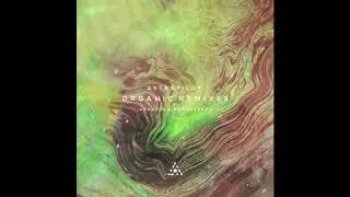Astropilot  - The Green Eyes Mystery (Organic Mix)
