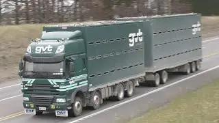 63 DAF Trucks on the Road around New Zealand's South Island
