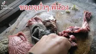 ຊອຍຈຸຍົ້ວໆ ชอยจุยั้วๆ