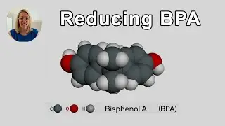 The Number One Way To Reduce BPA - Aly Cohen, MD - Interview