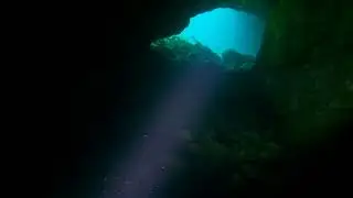 Awesome cavern dive exit at Madison Blue Spring State Park!
