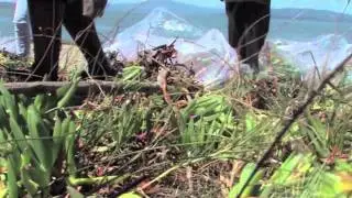 Jordan Fowler - Eco Company - Season 2 Host Wraps Reel