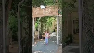 Emirates biofarm,UAE's largest organic farm