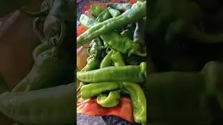 @Angy6314 #mixed #peppers #from #family #local #farm #farming #foryou #farmer #everyone #highlights