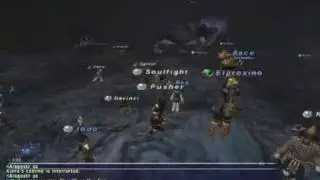 Final Fantasy XI - First Vrtra Kill