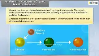 Fundamental Concepts in Organic Reaction Mechanism | Organic Chemistry | Chemistry | Class 11th |