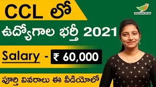 CCL Recruitment 2021 in Telugu | Salary ₹ 60,000 | Notification for 44 Posts | Central Govt Jobs