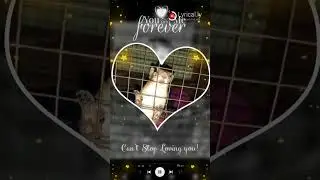 Squirrel pic+tamil song/squirrel love