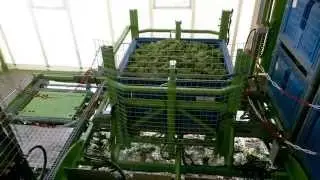 Tumoba Kale harvester / Boerenkool oogster