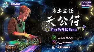 廣土主任 - 天公仔 (DJ Lin 林良吉 Vina 瑪田鼓 2025 Remix)