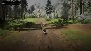 Vitalism studies Rabbit location & Gameplay in Red Dead Online