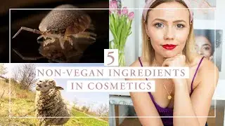5 Non-Vegan Ingredients in Cosmetics | Kia-Charlotta
