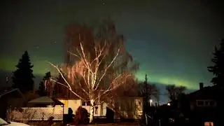 northern lights calgary nov 8th 2025 